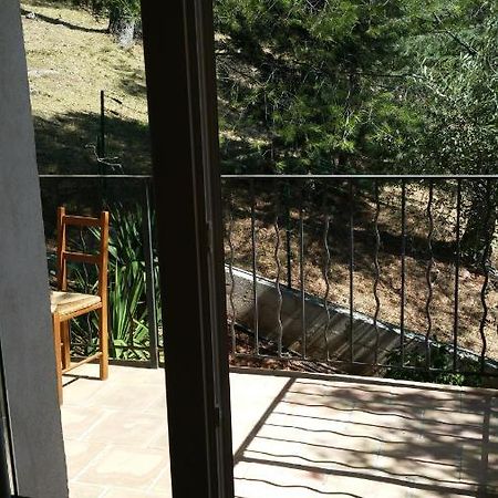 Apartament Var Solliès-Pont Zewnętrze zdjęcie